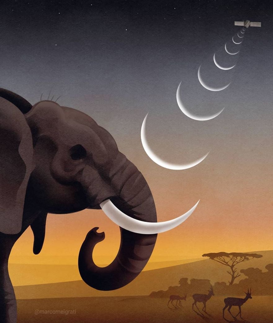Ilustración Marco Melgrati29