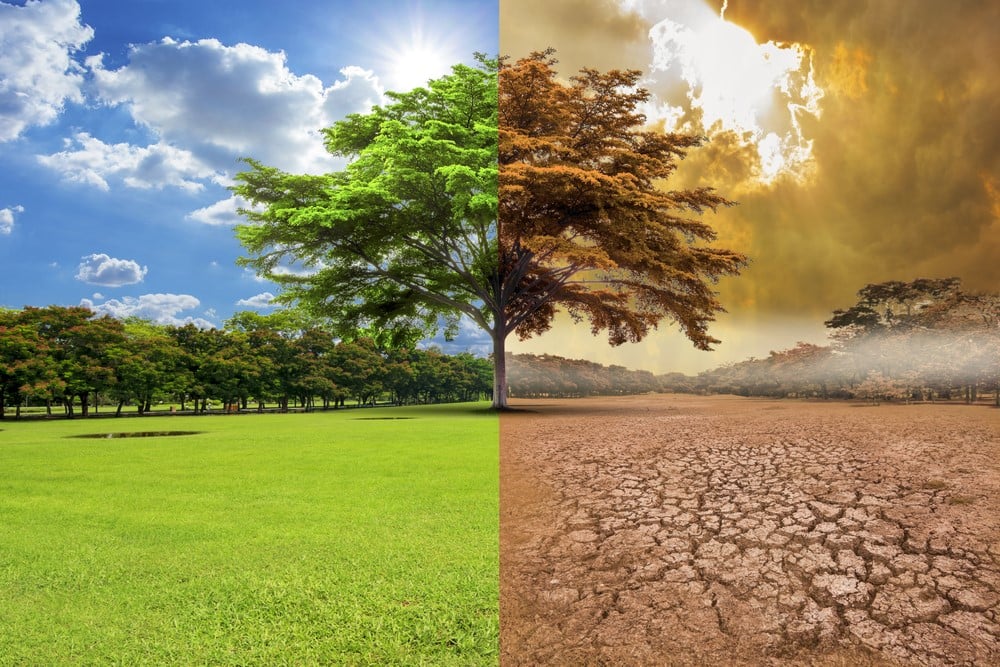 Italia se convierte en el primer país que incluye el cambio climático como asignatura obligatoria 2