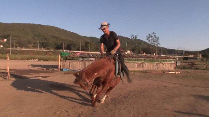 Jingang el caballo que finge estar muerto cada vez que van a montarlo 3