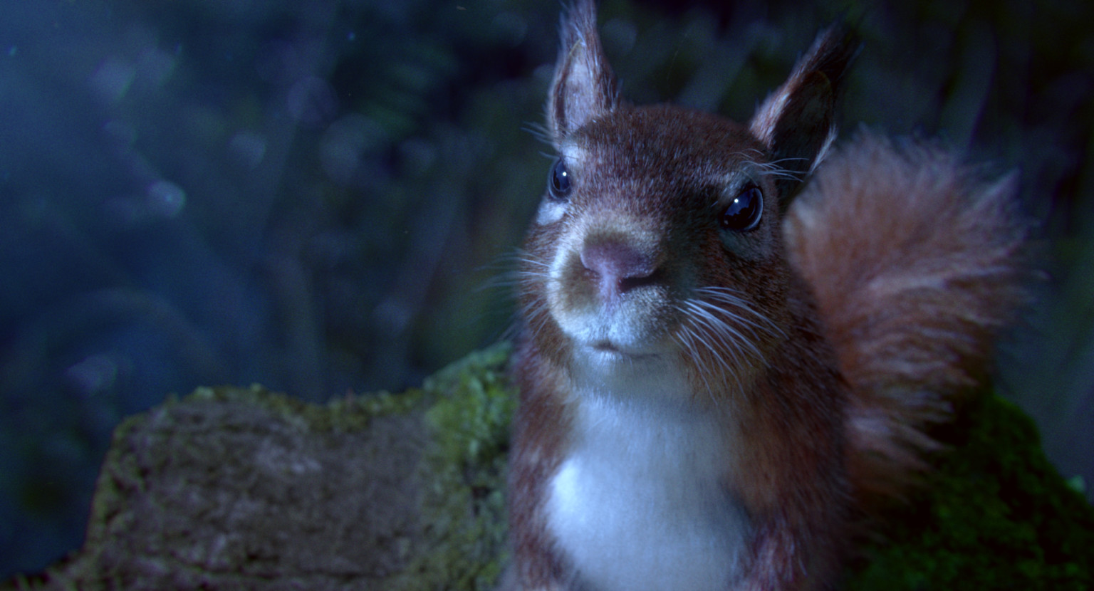Maestro un cortometraje de animación con criaturas del bosque cantando ópera a la luz de la luna 2
