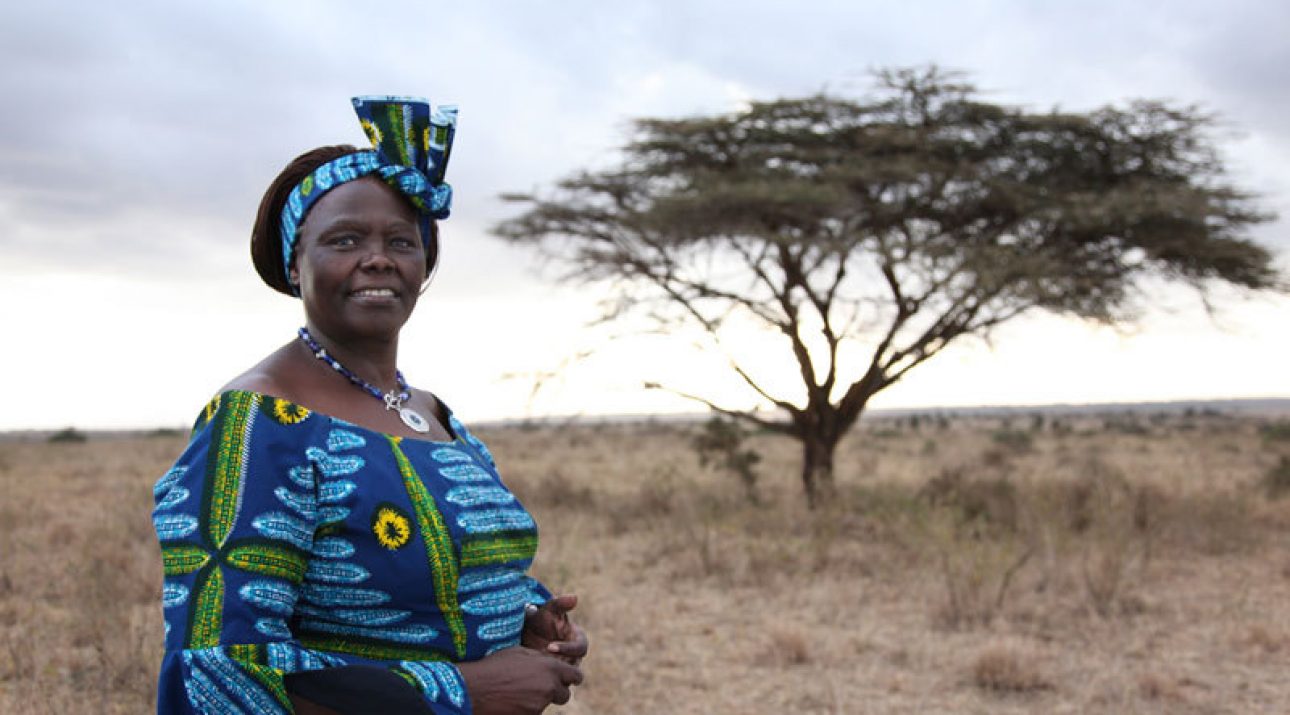 Wangari Maathai