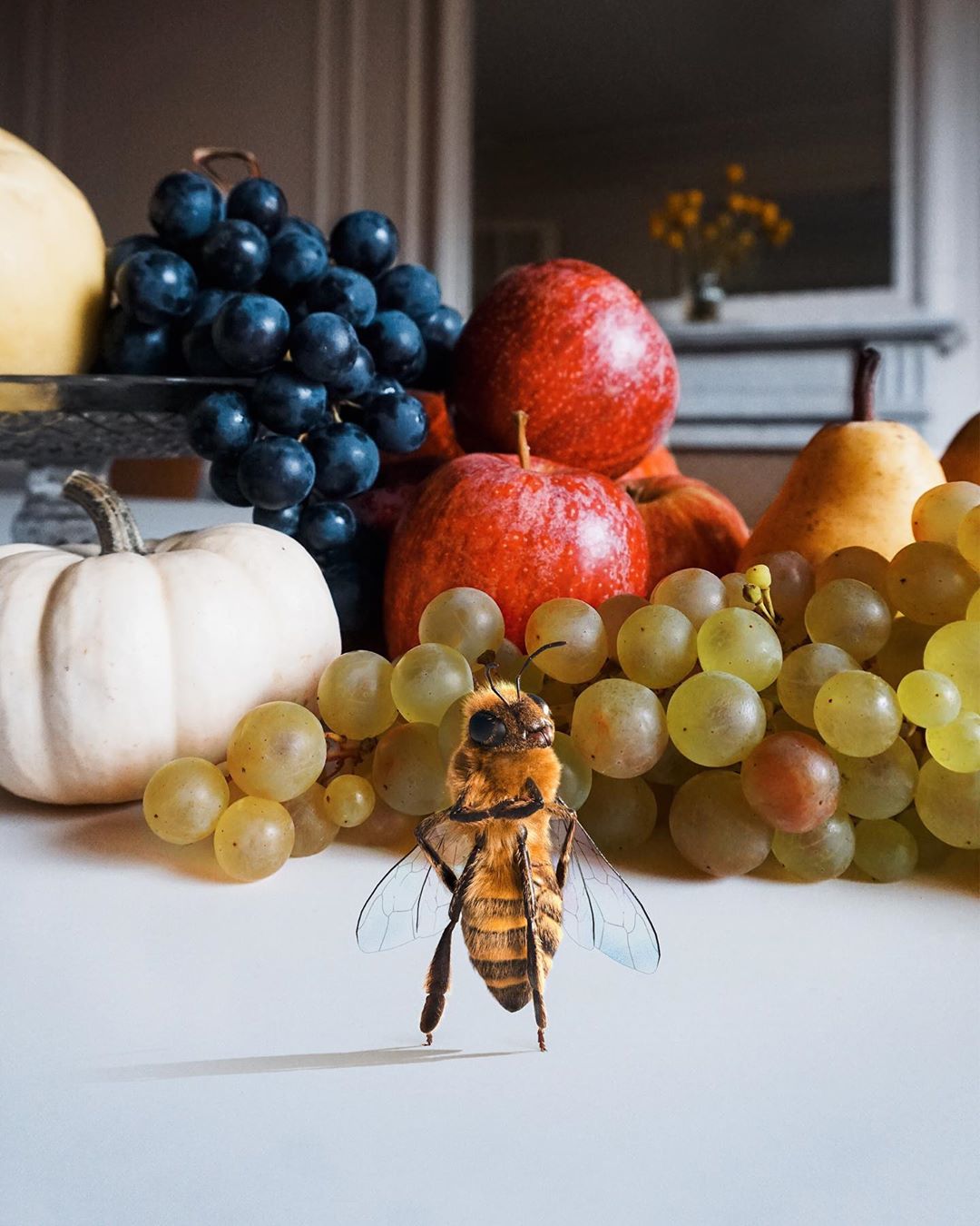bee nfluencer7