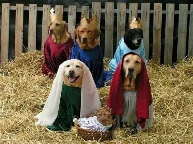 pesebre navideño perretes3