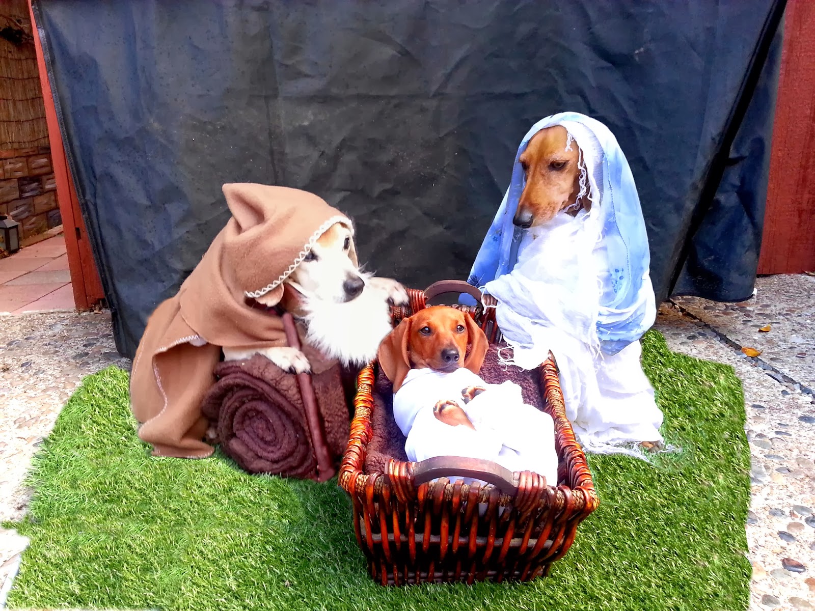 pesebre navideño perretes4