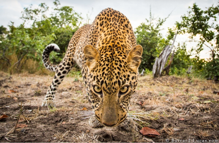 Algunas de las mejores fotografías del 2019 1
