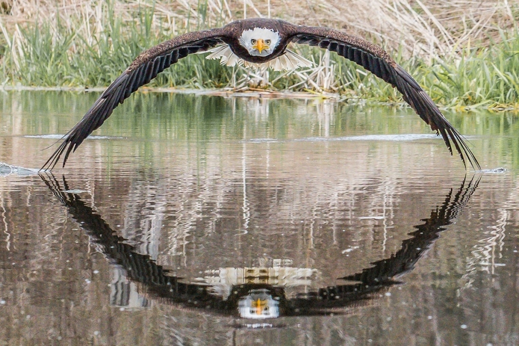 Algunas de las mejores fotografías del 2019 14