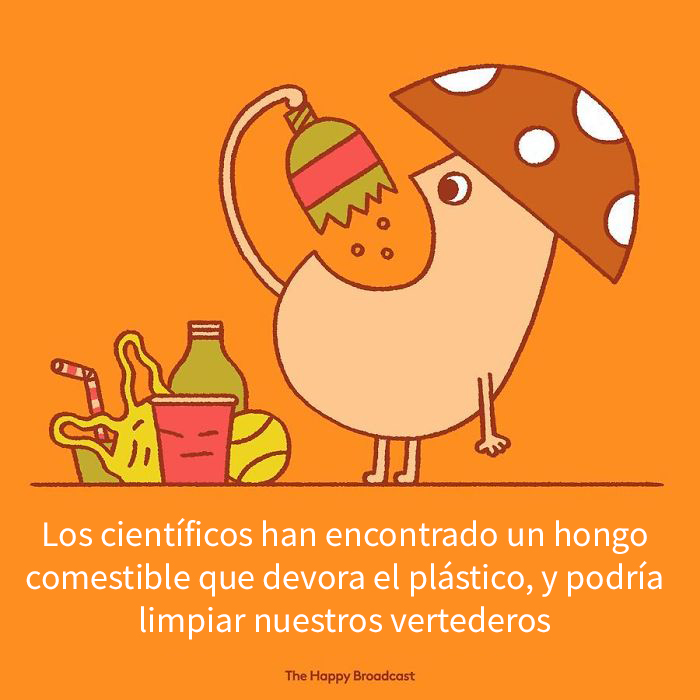 Harto de malas noticias ilustra algunas de las mejores noticias de 2019 12