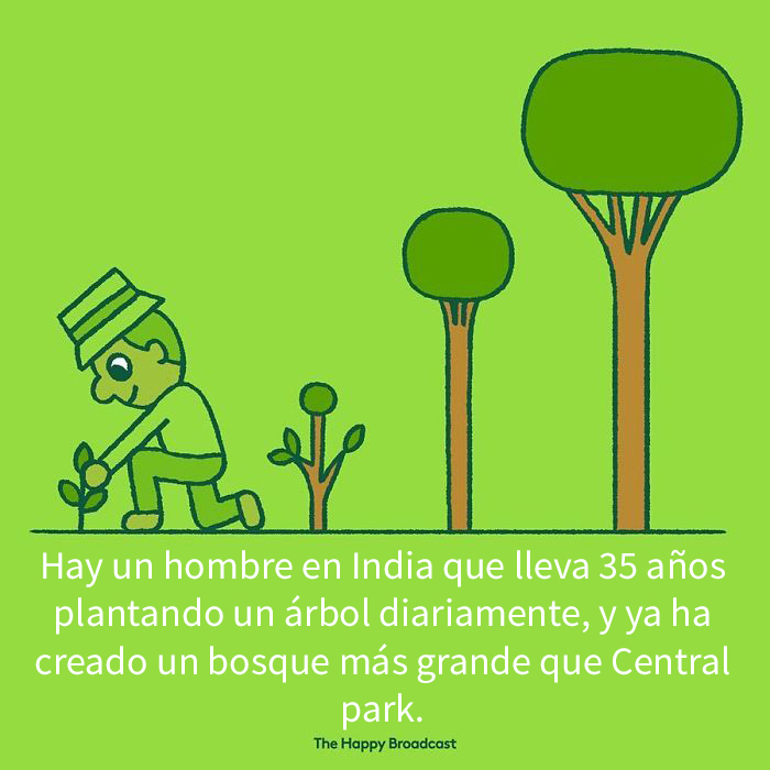 Harto de malas noticias ilustra algunas de las mejores noticias de 2019 15