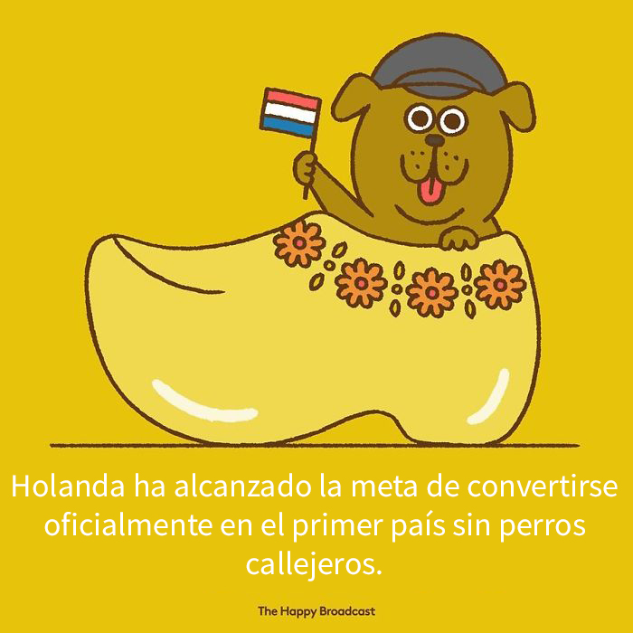 Harto de malas noticias ilustra algunas de las mejores noticias de 2019 17