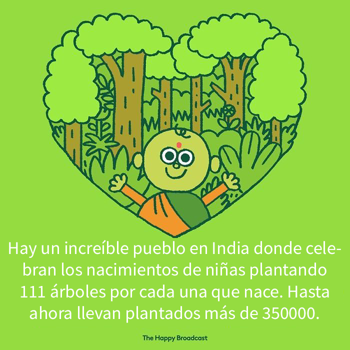Harto de malas noticias ilustra algunas de las mejores noticias de 2019 2