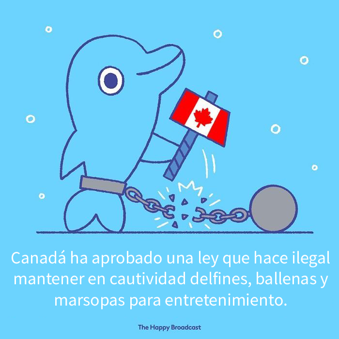 Harto de malas noticias ilustra algunas de las mejores noticias de 2019 21