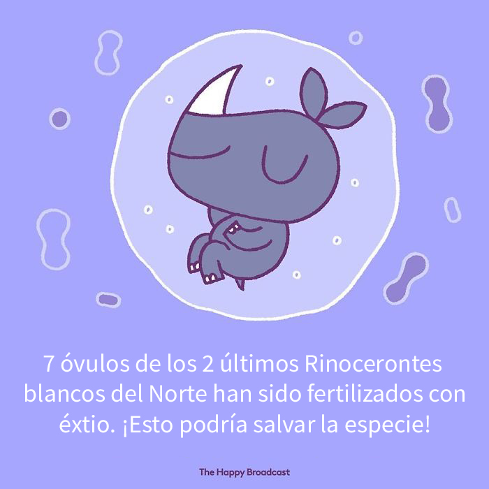 Harto de malas noticias ilustra algunas de las mejores noticias de 2019 3