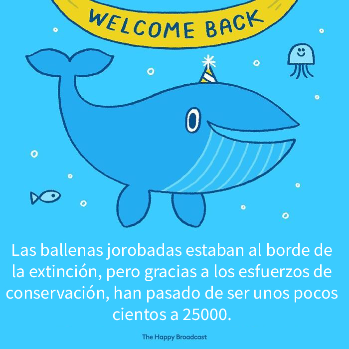 Harto de malas noticias ilustra algunas de las mejores noticias de 2019 4