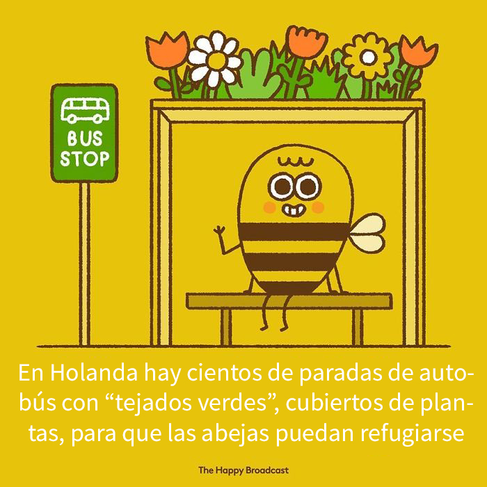 Harto de malas noticias ilustra algunas de las mejores noticias de 2019 5