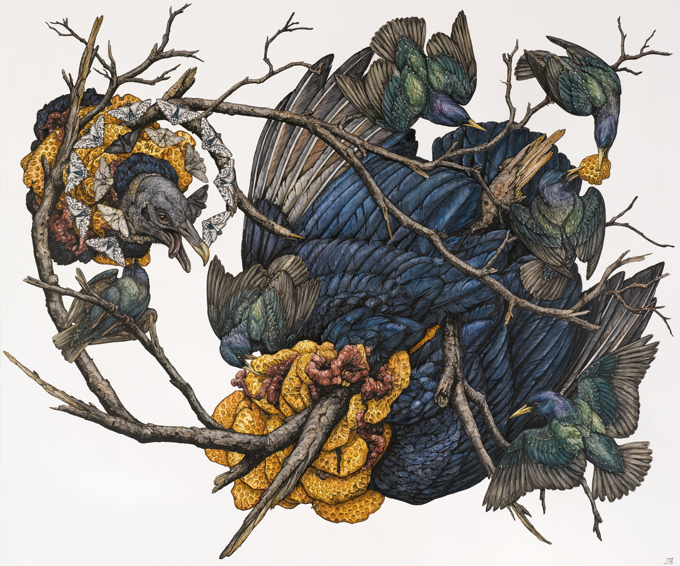 Mitologia fabulas y naturalezas muertas en las alucinantes ilustraciones de Lauren Marx 2