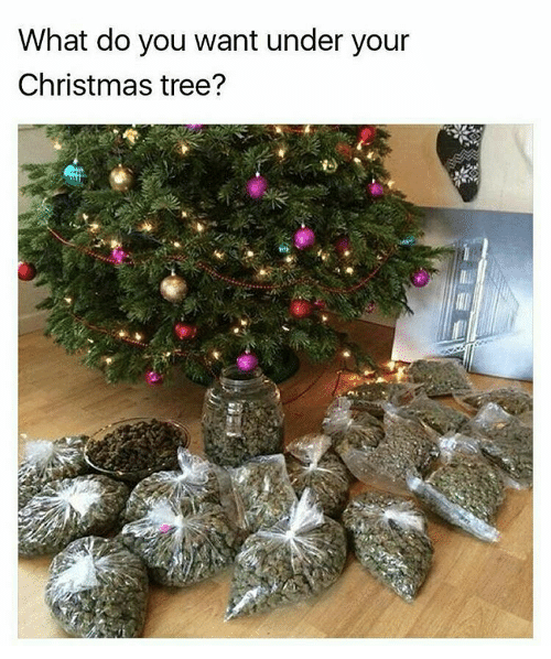 Un hombre es detenido por querer alegrar las fiestas de su familia con un arbol de Navidad de cannabis 1
