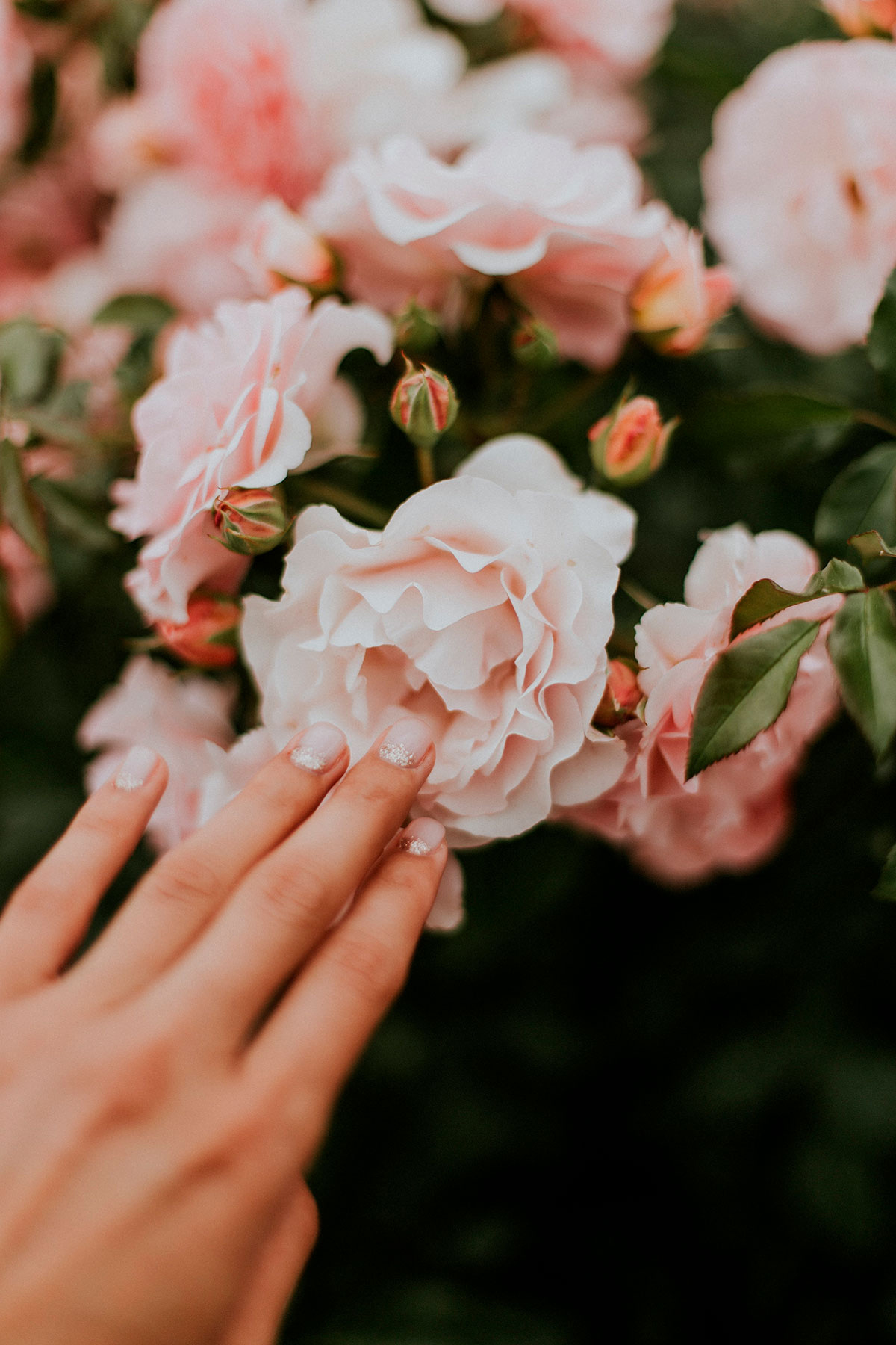 daiga ellaby 3FR6E9hEYWw unsplash