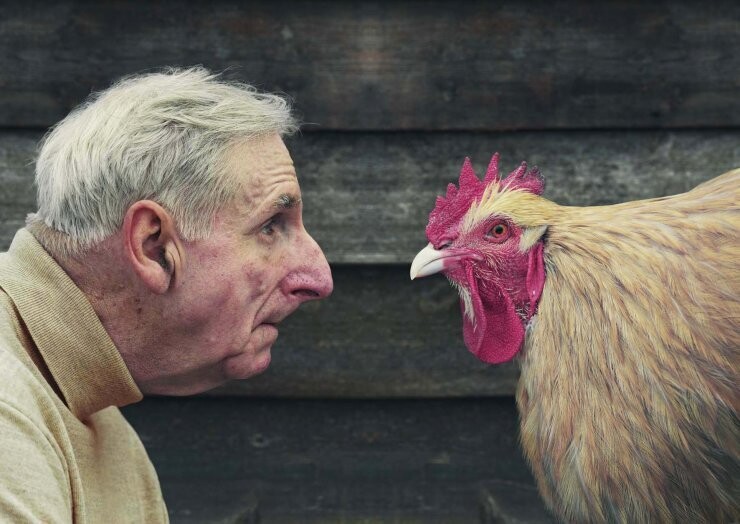 Fotografía de David Stewart en la que un anciano mira de frente a una gallina