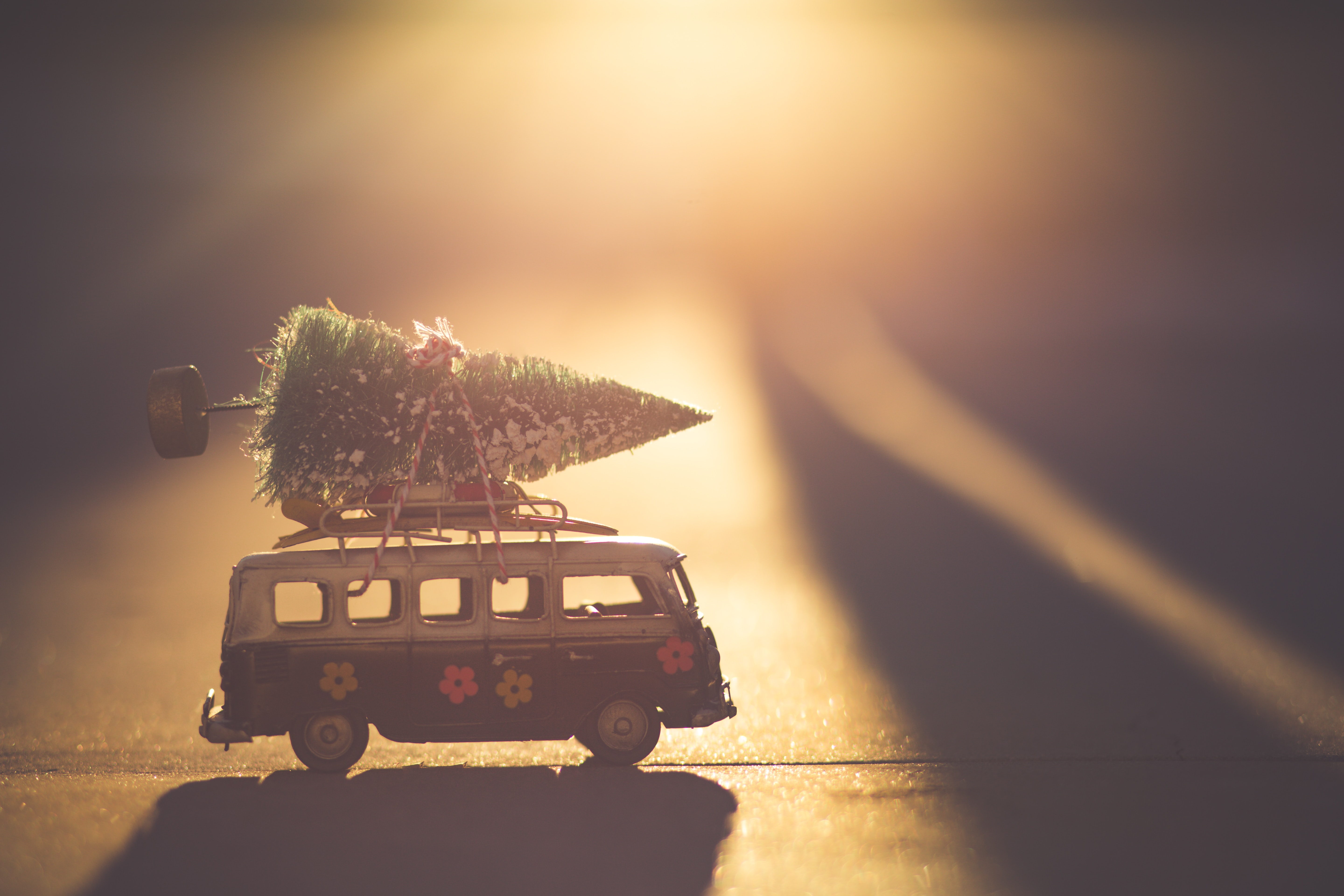 denise johnson m4eISQg0e0E unsplash