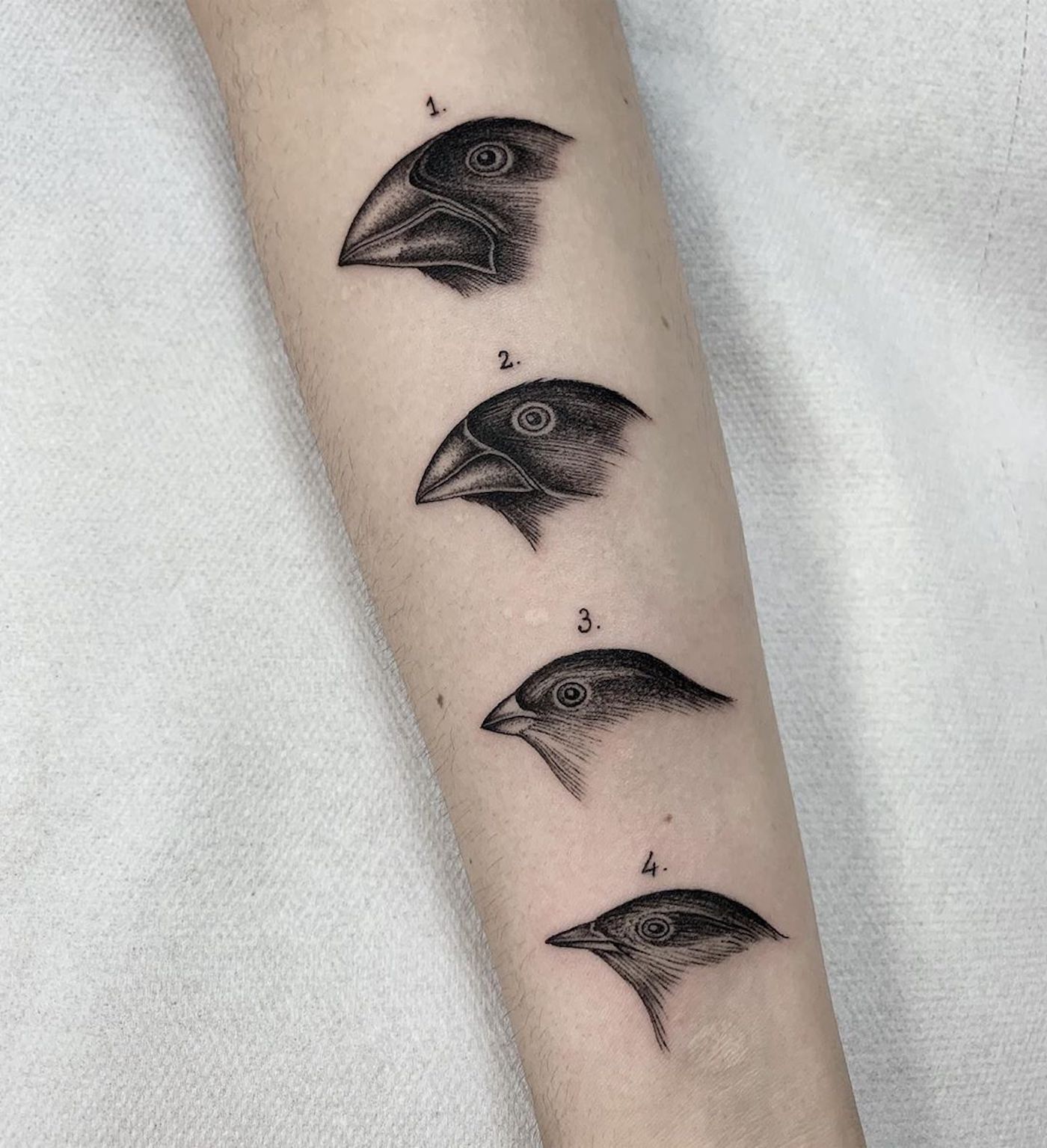 michele volpi tatuaje20