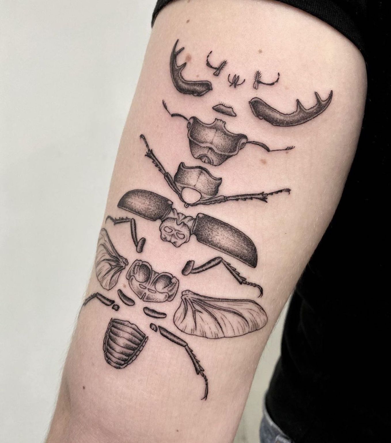 michele volpi tatuaje50