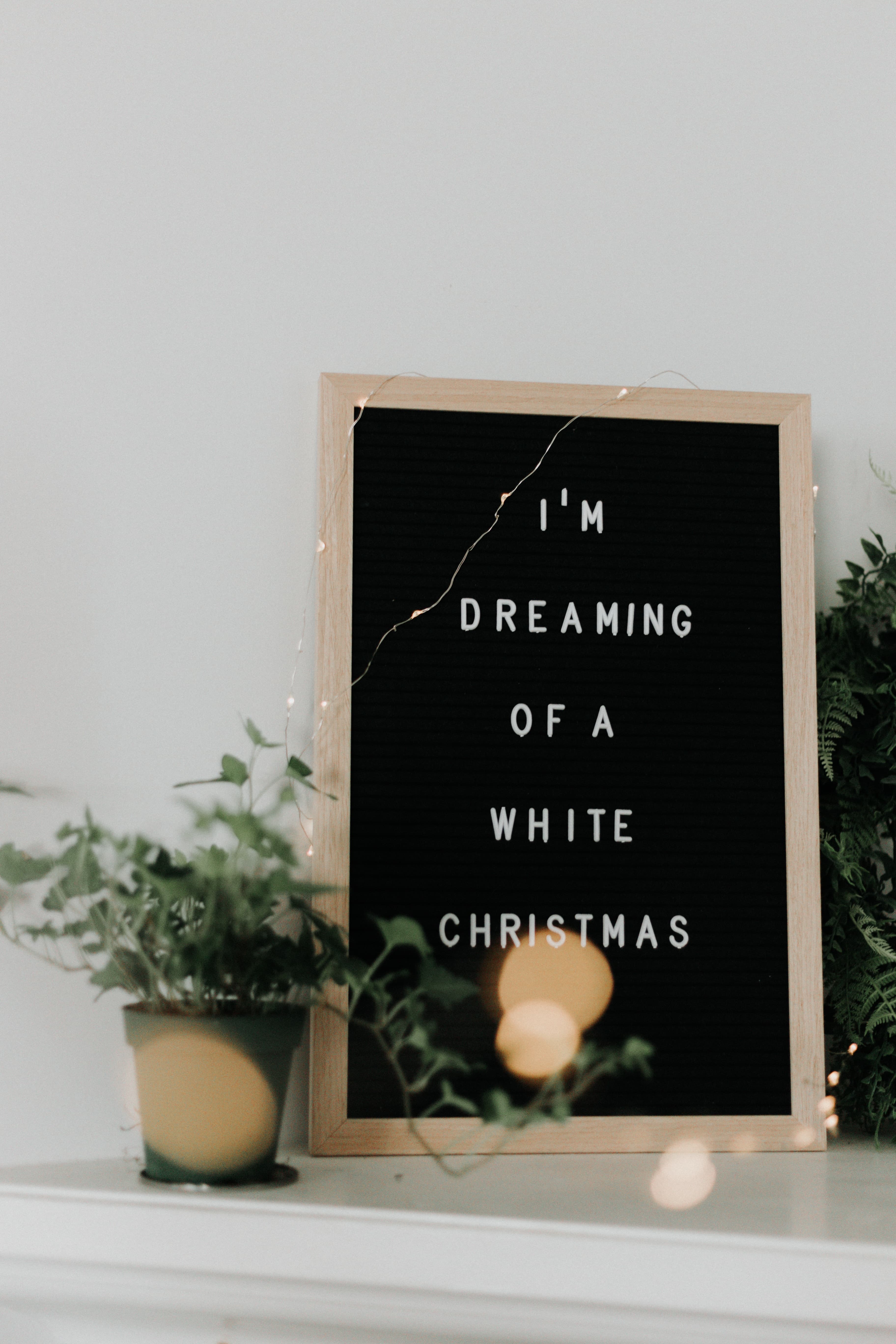 priscilla du preez TzAydhJ4QzE unsplash