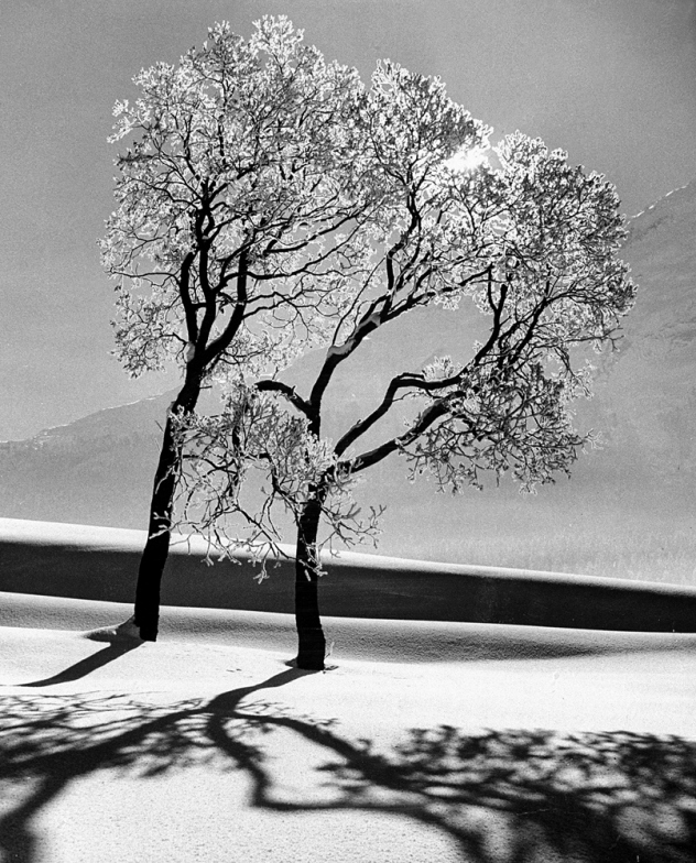 Alfred Eisenstaedt fotografías esenciales 11