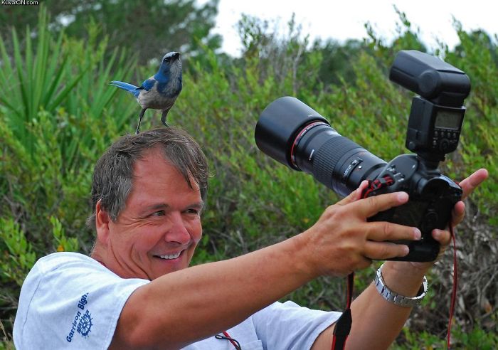 Estos fotografos demuestran hasta donde se puede llegar para conseguir la captura perfecta 11