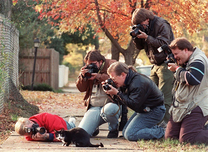 Estos fotografos demuestran hasta donde se puede llegar para conseguir la captura perfecta 5