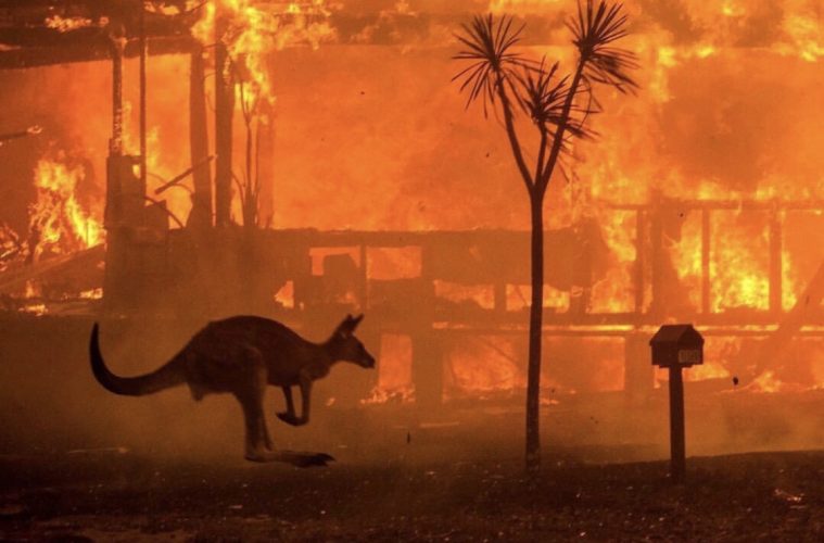 Fotografías demoledoras que nos hacen tomar conciencia de la gravedad de los incendios en Australia