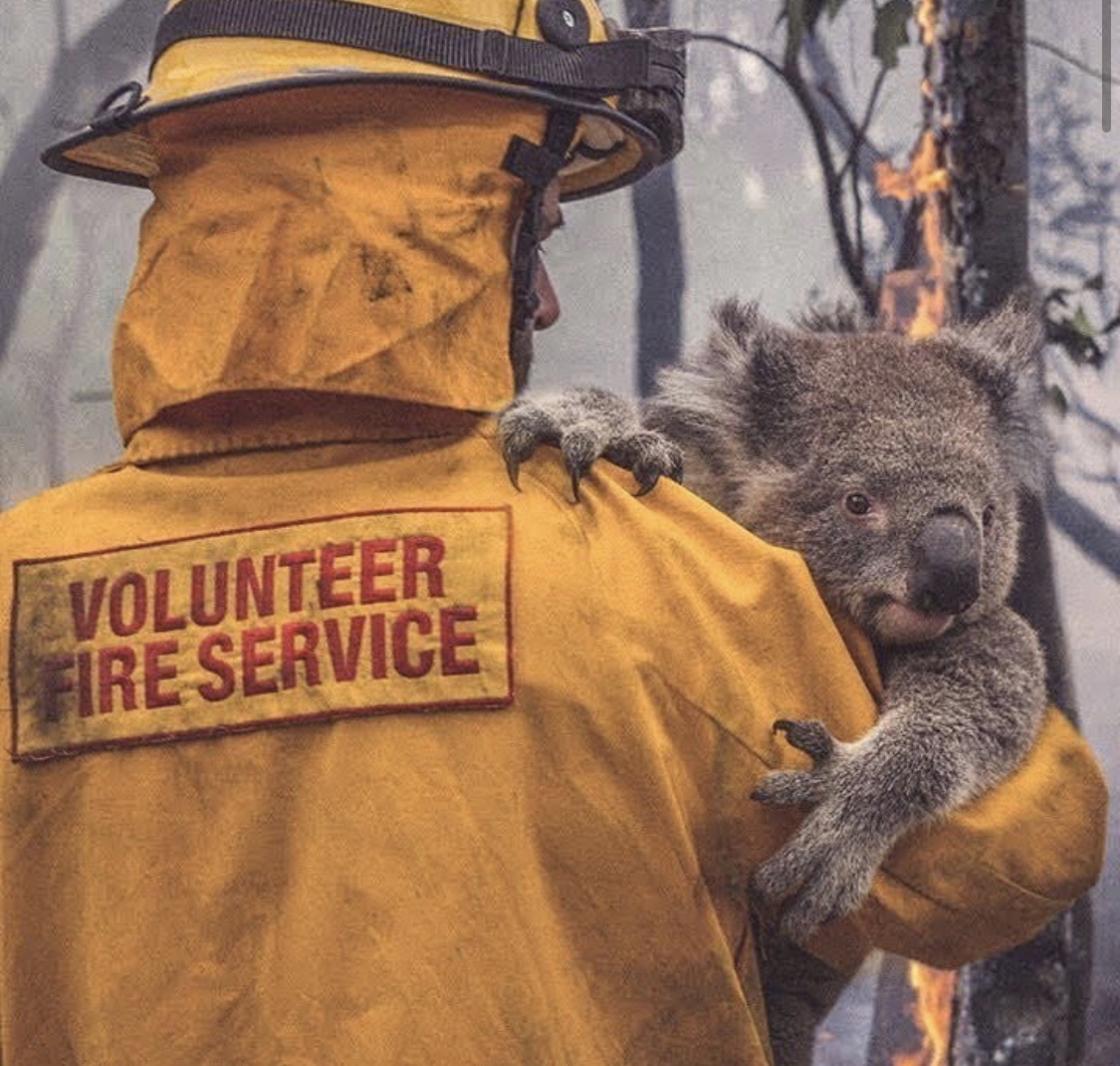 Fotografías demoledoras que nos hacen tomar conciencia de la gravedad de los incendios en Australia 4