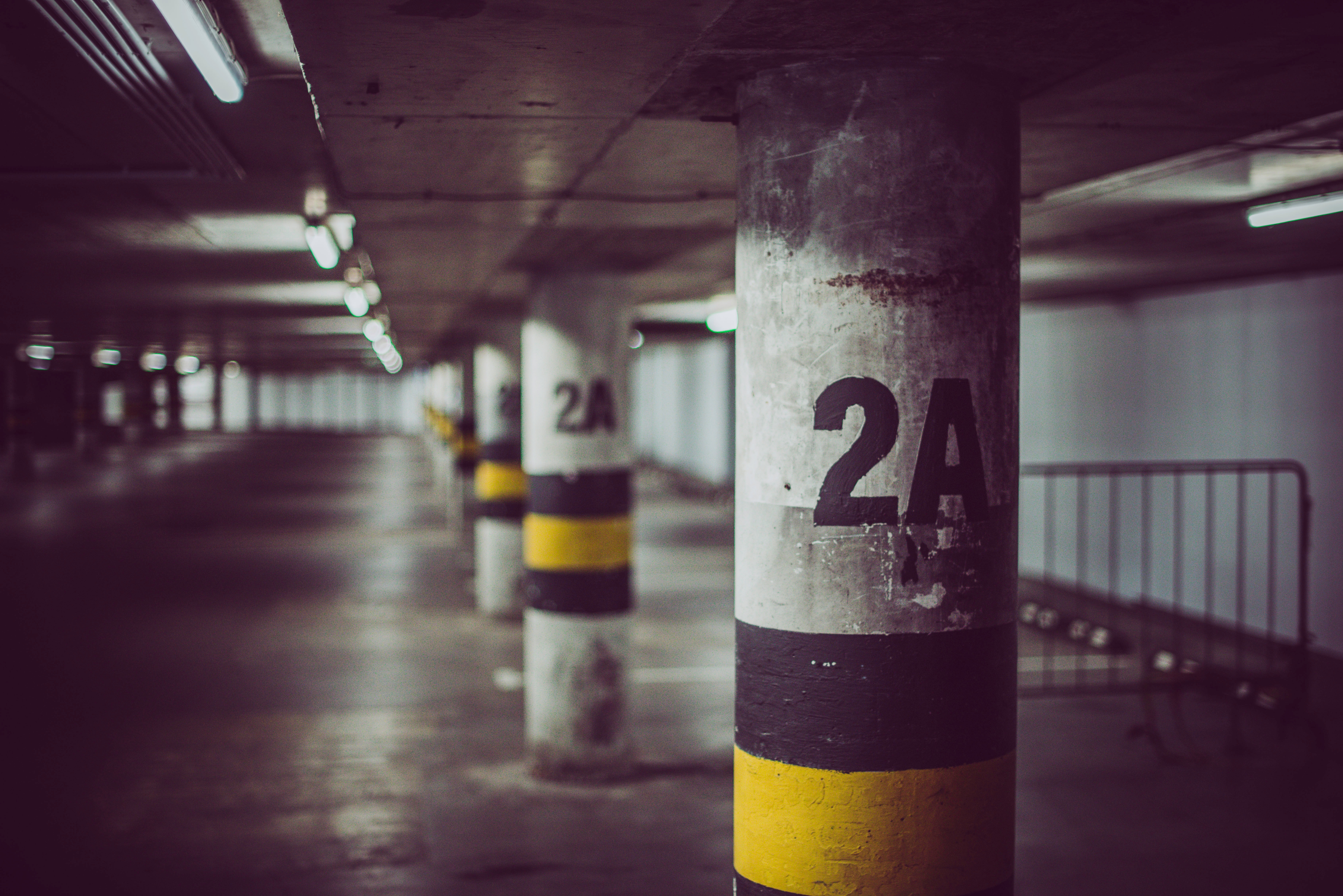 rokas niparavicius PrECKxBI P8 unsplash