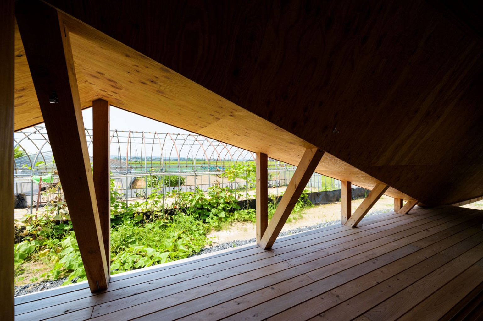 Una minimalista casa en Japon con forma de tienda de campana 8