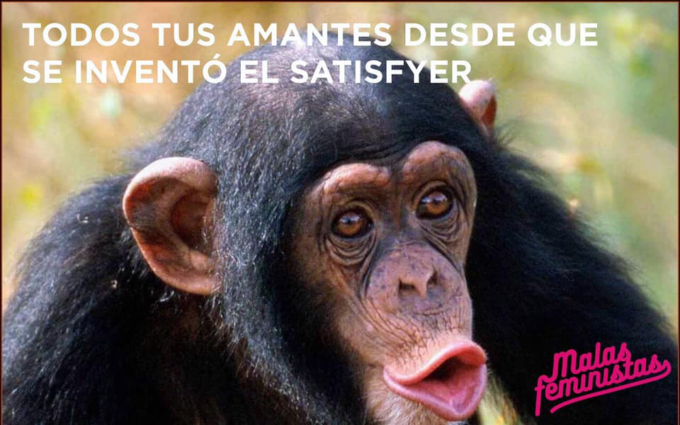 Malas Feministas