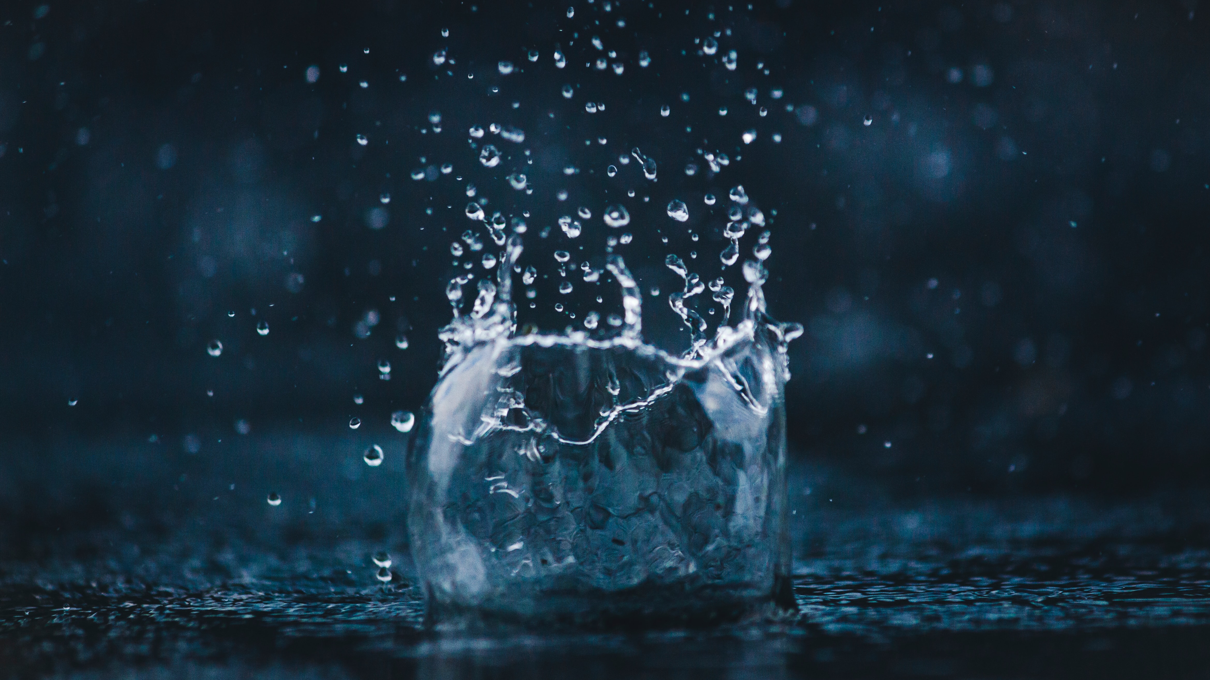 amadej tauses xWOTojs1eg4 unsplash