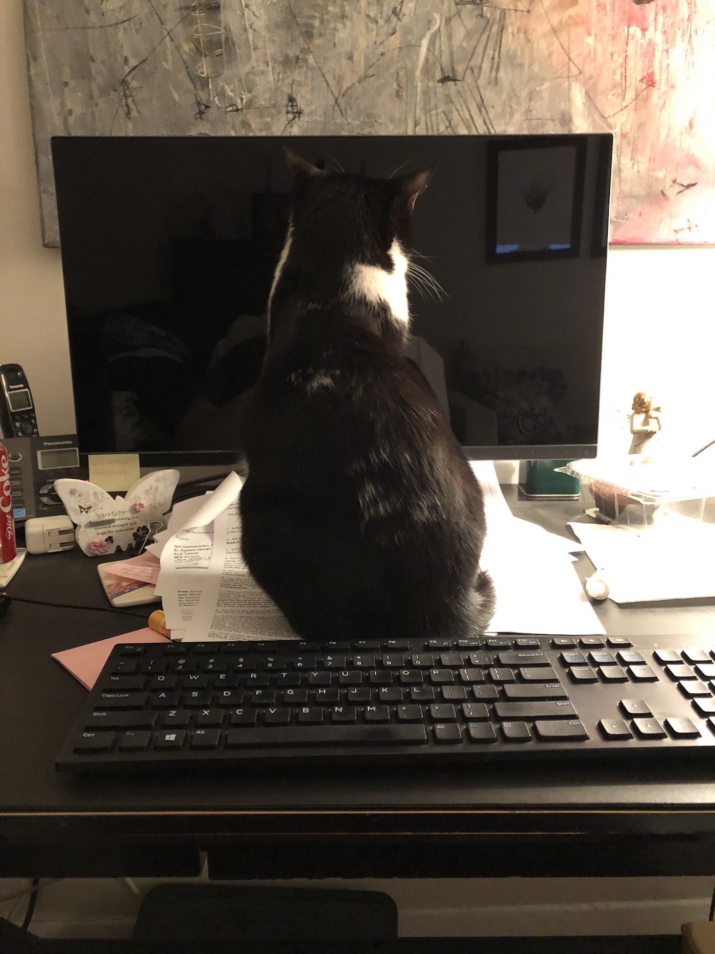 animalesteletrabajo.jpg16