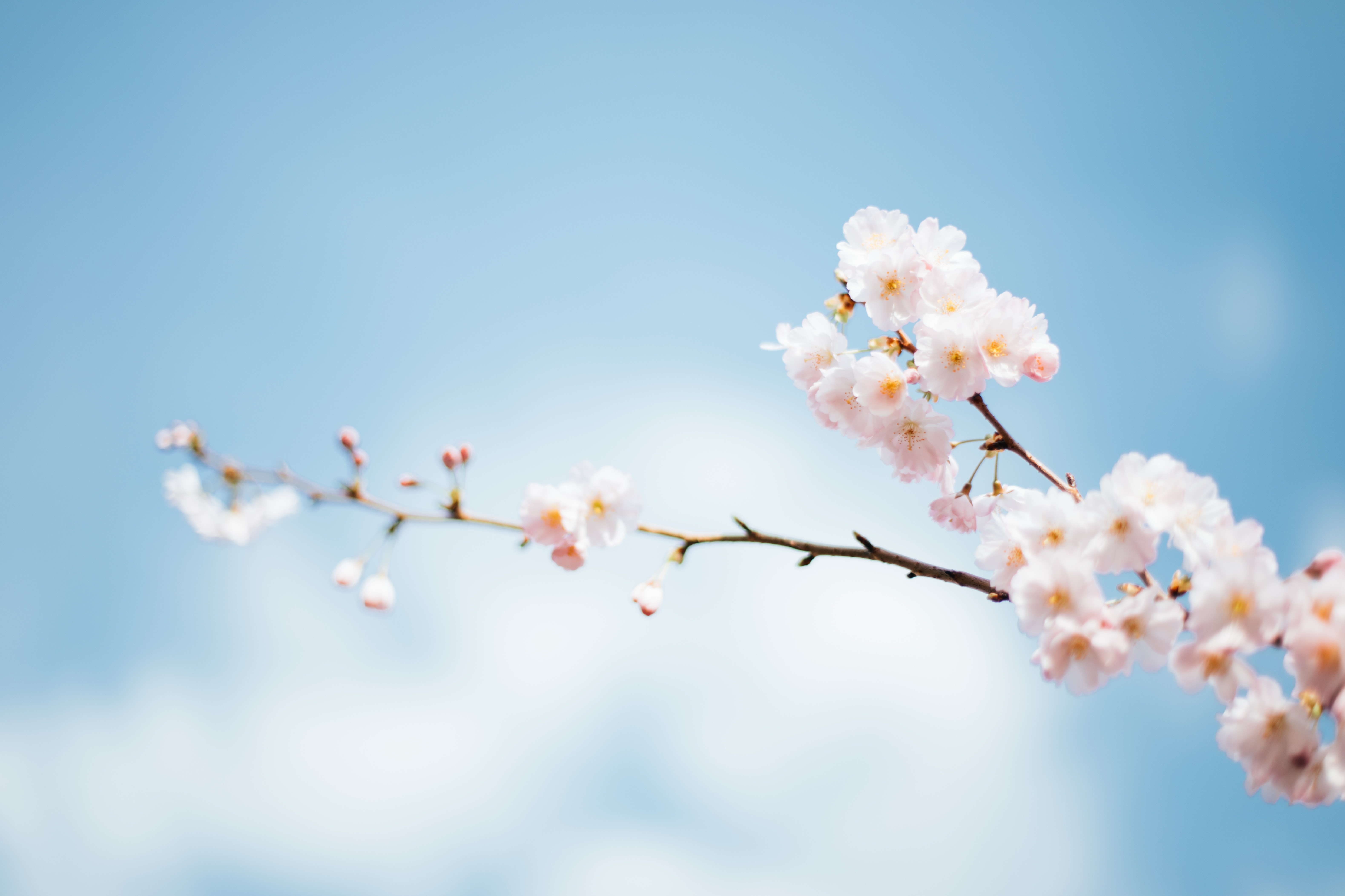 anthony delanoix urUdKCxsTUI unsplash