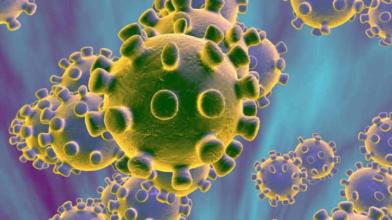 coronavirus 768x432