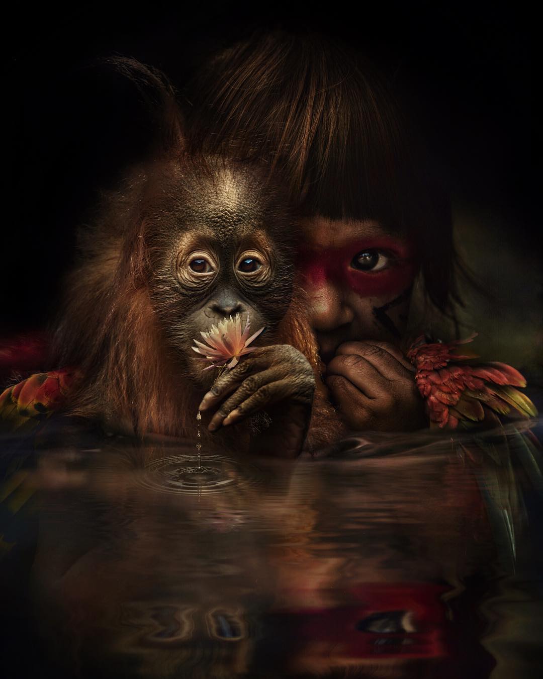 Marcel van luit14
