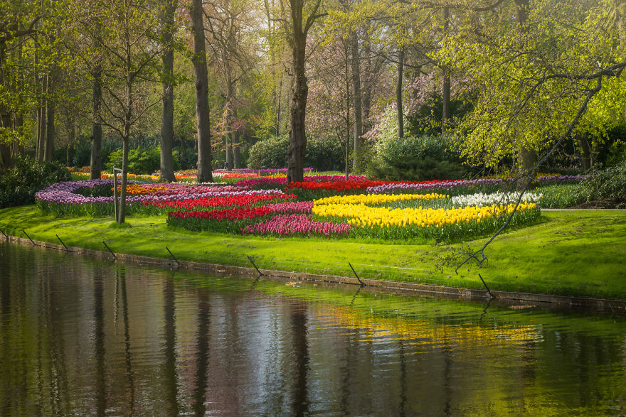 Keukenhof 1