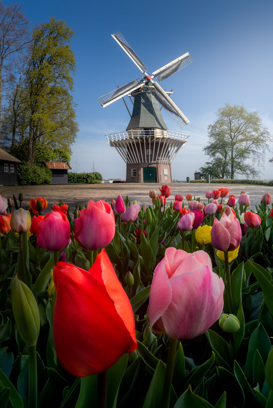 Keukenhof 11