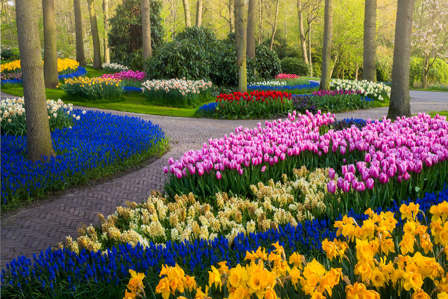 Keukenhof 13
