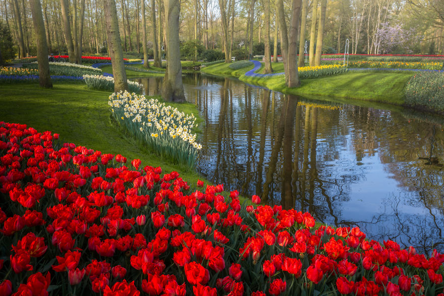 Keukenhof 15