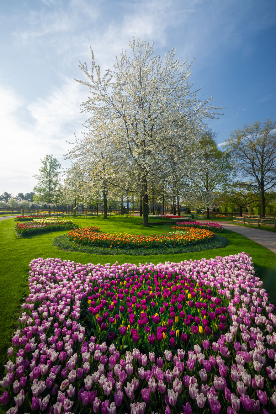 Keukenhof 16