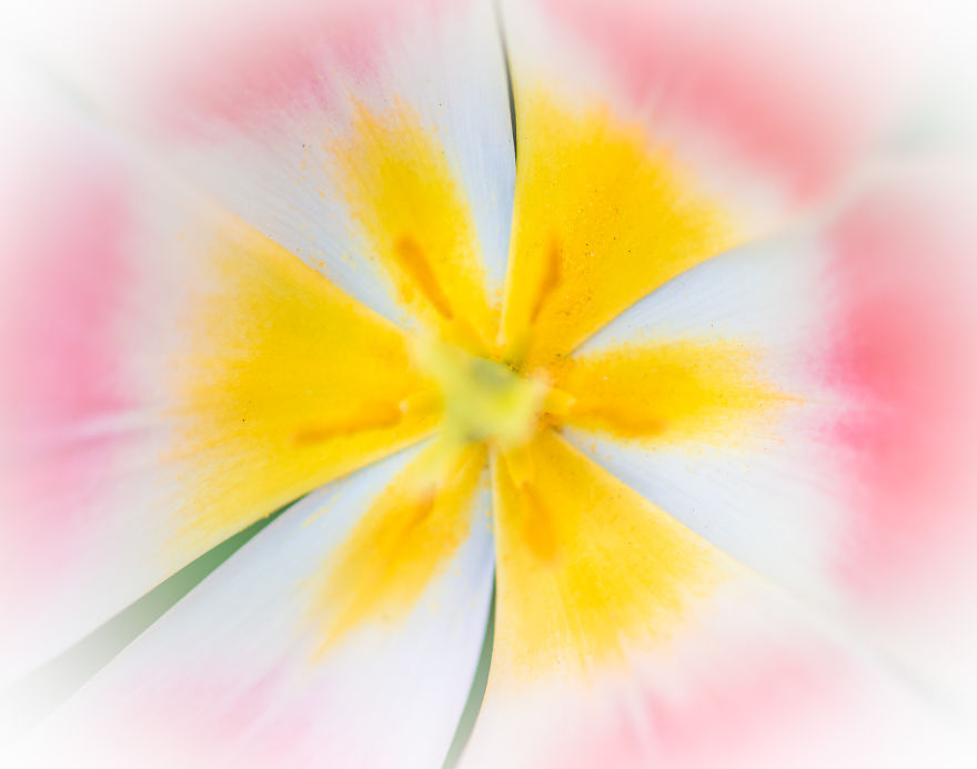 Keukenhof 17