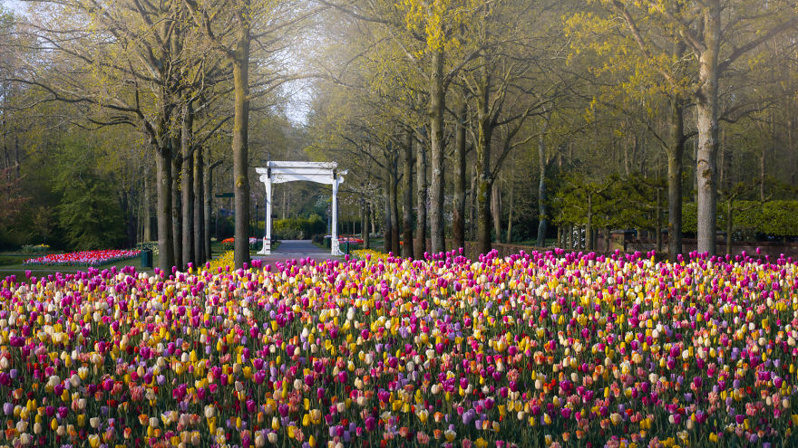 Keukenhof 18