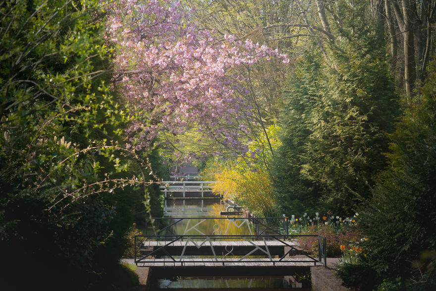 Keukenhof 2