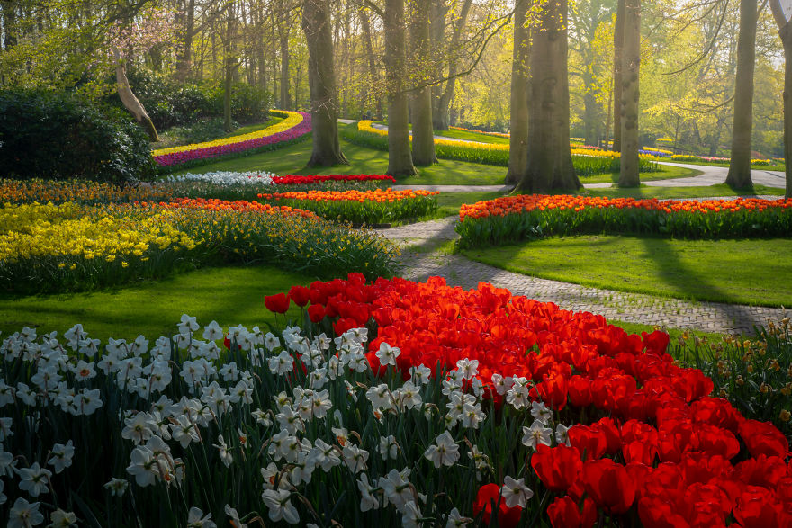 Keukenhof 20