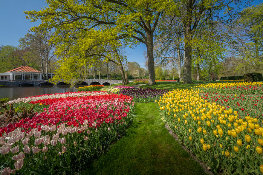 Keukenhof 25