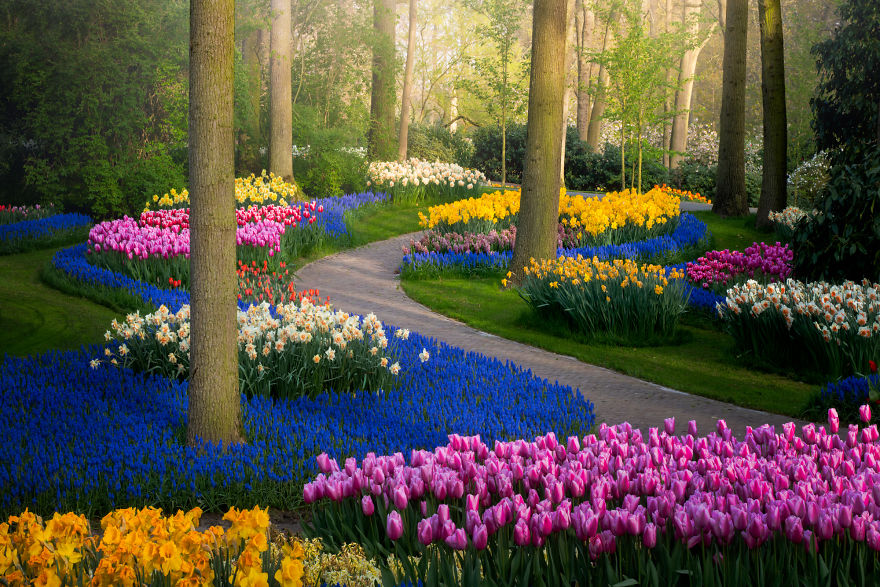 Keukenhof 3